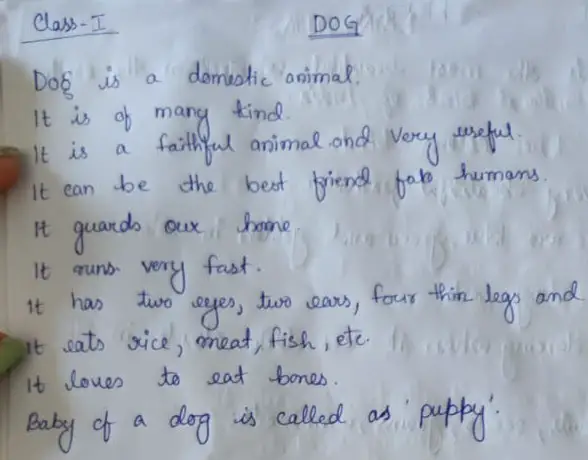 Dog Paragraph For Class 1 Std. 