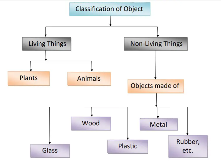 Classification Of Object Class 6 Science Lesson Sorting Materials Into Groups
