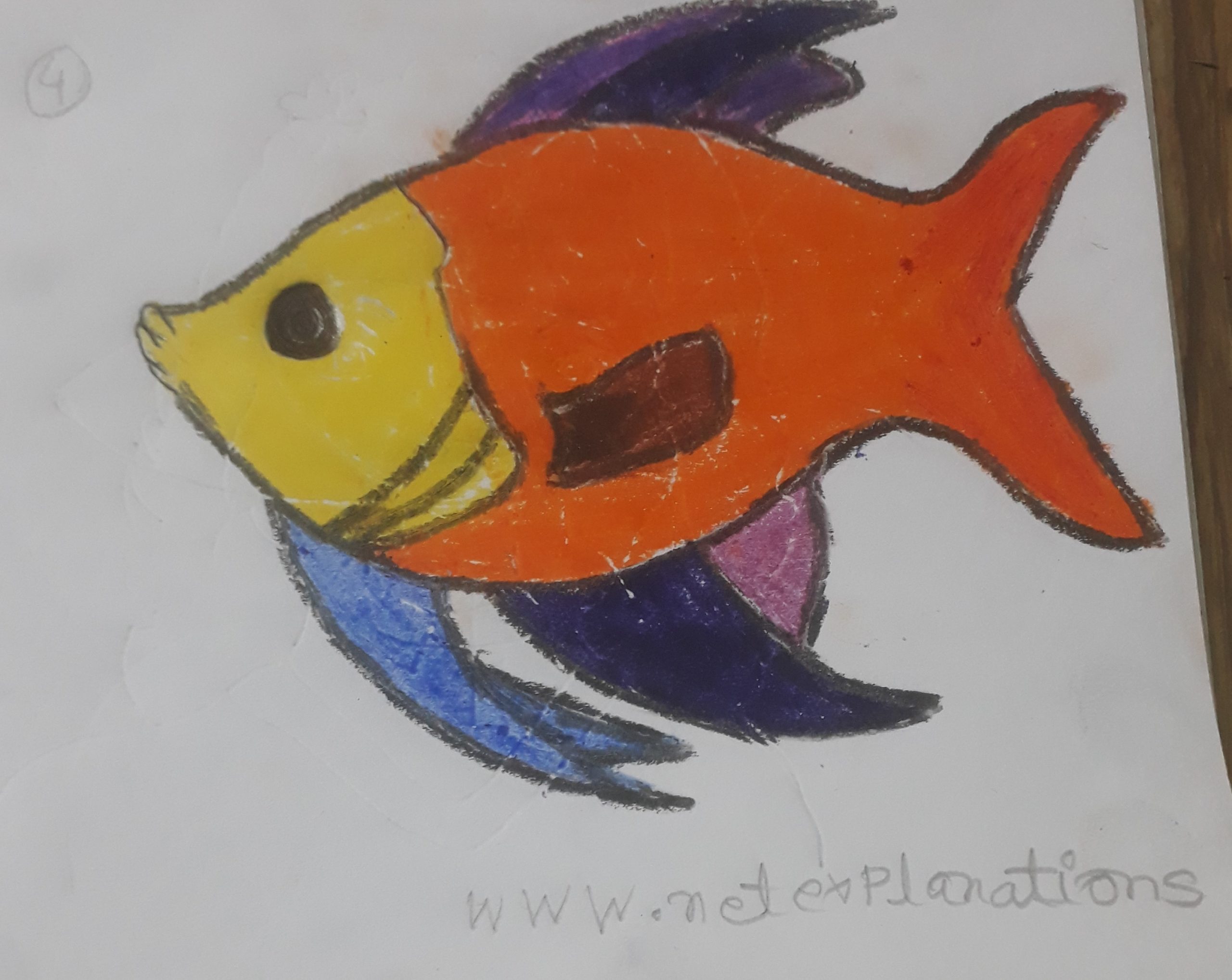 Details more than 76 simple fish drawing latest - xkldase.edu.vn