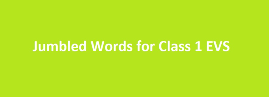Jumbled Words For Class 4 With Answers