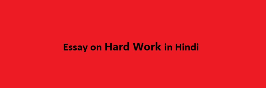 essay on hard work in hindi