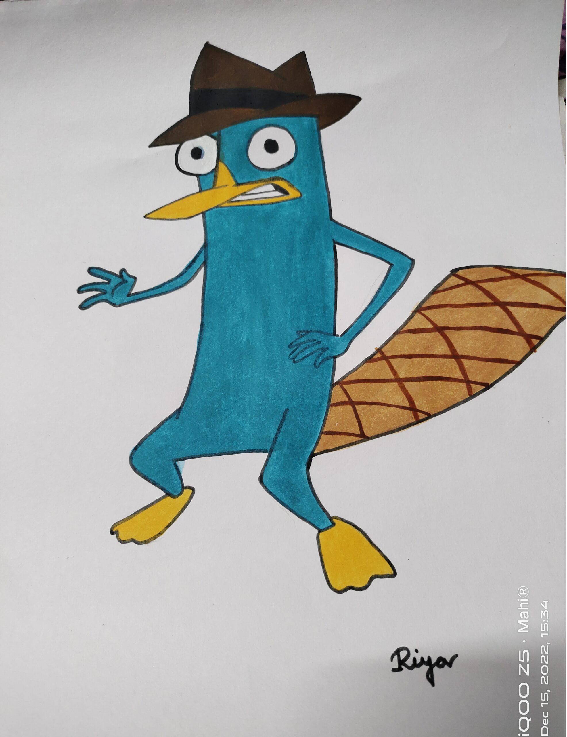 How to draw a Perry the Platypus Step by Step