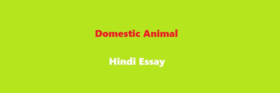 domestic animals essay in hindi